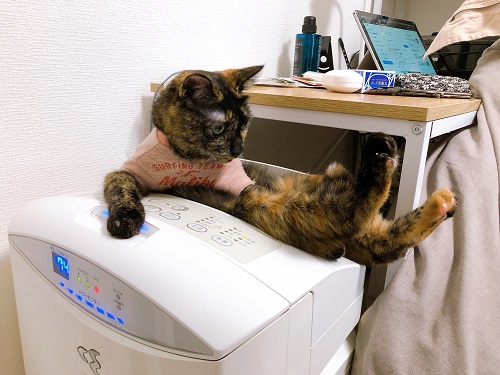 f:id:choco116choco:20210607065524j:plain