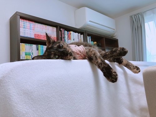 f:id:choco116choco:20210609071255j:plain