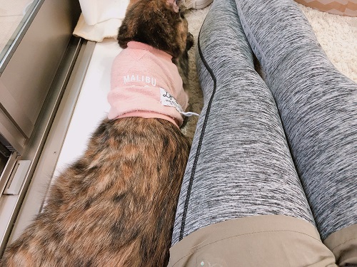 f:id:choco116choco:20210609072106j:plain