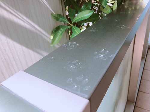 f:id:choco116choco:20210609072653j:plain