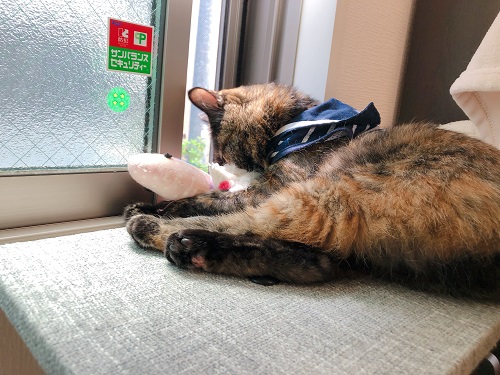 f:id:choco116choco:20210621071500j:plain