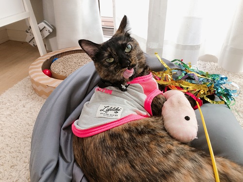 f:id:choco116choco:20210621072801j:plain