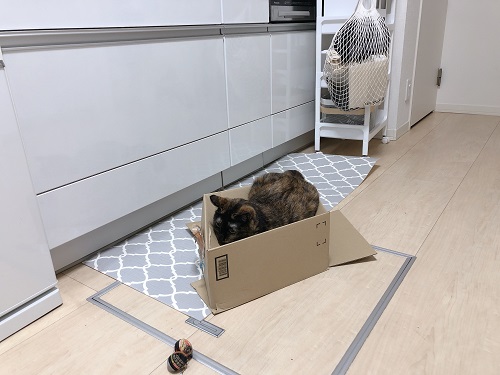 f:id:choco116choco:20210621072928j:plain