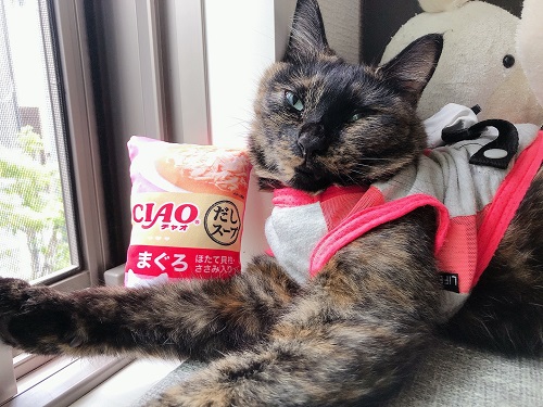 f:id:choco116choco:20210730074847j:plain