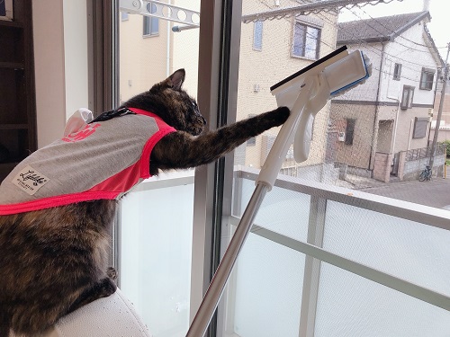 f:id:choco116choco:20210802065403j:plain