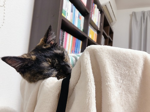 f:id:choco116choco:20210802072245j:plain