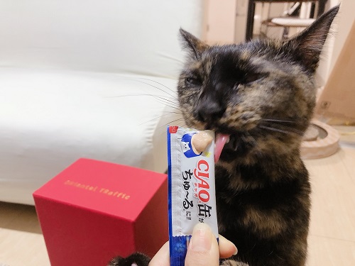 f:id:choco116choco:20210802072400j:plain