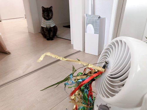 f:id:choco116choco:20210806073332j:plain