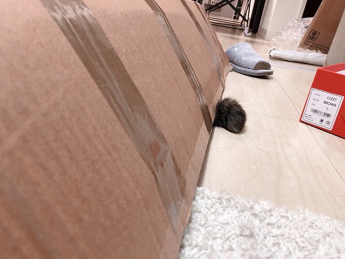 f:id:choco116choco:20210806075203j:plain