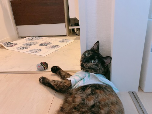 f:id:choco116choco:20210809071912j:plain