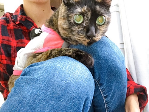 f:id:choco116choco:20210901072443j:plain