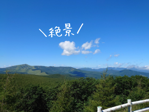 f:id:choco116choco:20210903083545p:plain