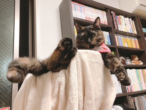 f:id:choco116choco:20210906071134j:plain