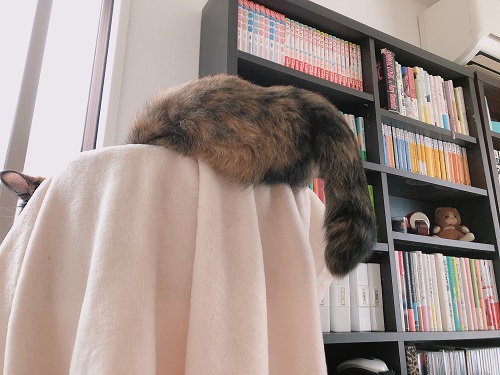 f:id:choco116choco:20210910074034j:plain