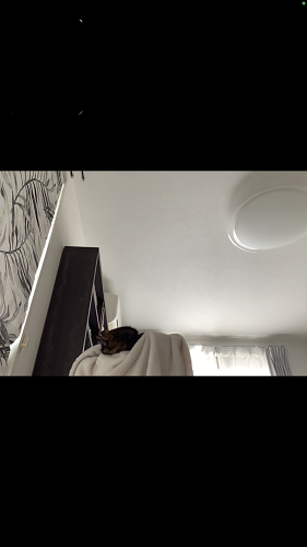 f:id:choco116choco:20210910075521p:plain