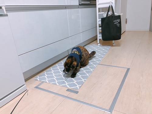 f:id:choco116choco:20211022074108j:plain