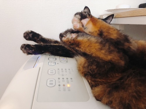 f:id:choco116choco:20211027072652j:plain