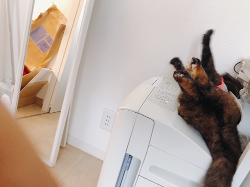 f:id:choco116choco:20211027072850j:plain