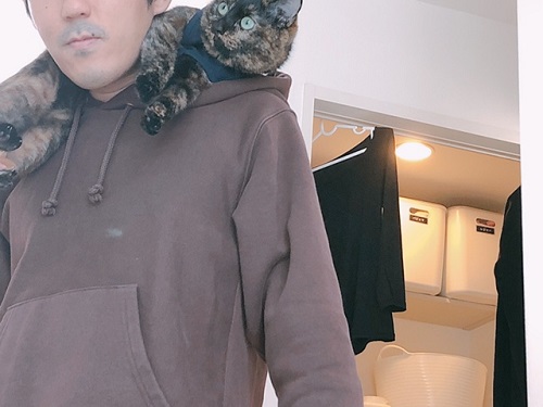f:id:choco116choco:20211122070409j:plain