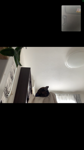 f:id:choco116choco:20211129071931p:plain