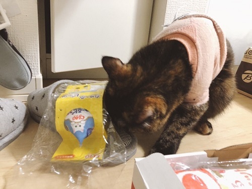 f:id:choco116choco:20211222071854j:plain