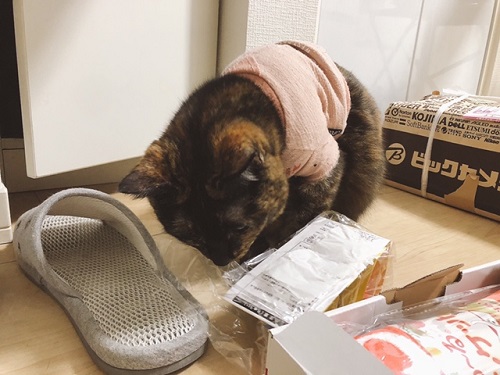 f:id:choco116choco:20211222071953j:plain