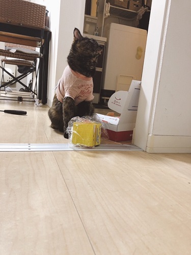 f:id:choco116choco:20211222072109j:plain