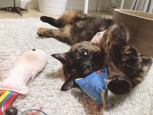 f:id:choco116choco:20211222072410j:plain