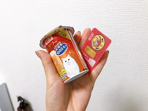 f:id:choco116choco:20211227071911j:plain