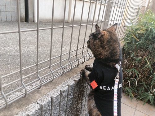 f:id:choco116choco:20211231080137j:plain