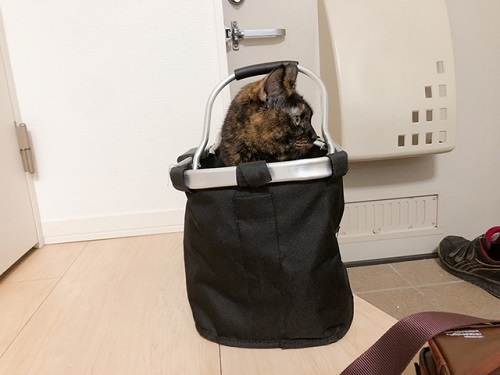 f:id:choco116choco:20211231080504j:plain