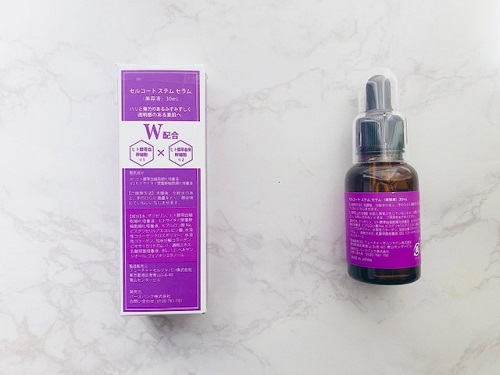 f:id:choco116choco:20220104090115j:plain