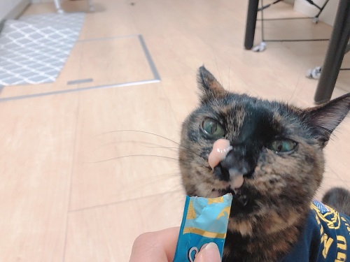 f:id:choco116choco:20220202070352j:plain