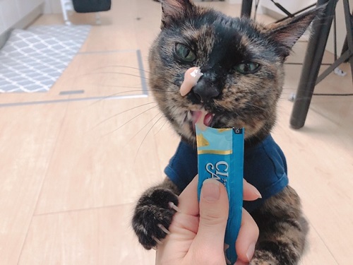 f:id:choco116choco:20220202070419j:plain