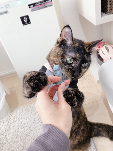 f:id:choco116choco:20220209071158j:plain