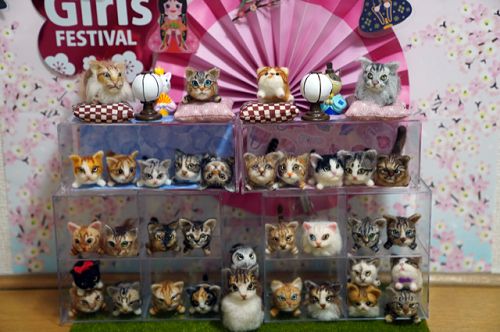 f:id:choco116choco:20220304074234p:plain