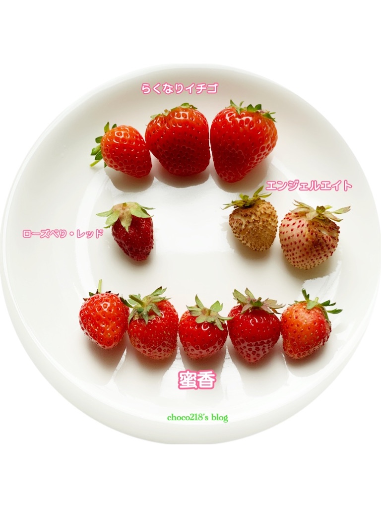 いちご\(❁´∀`❁)ノさま専用 うくっ