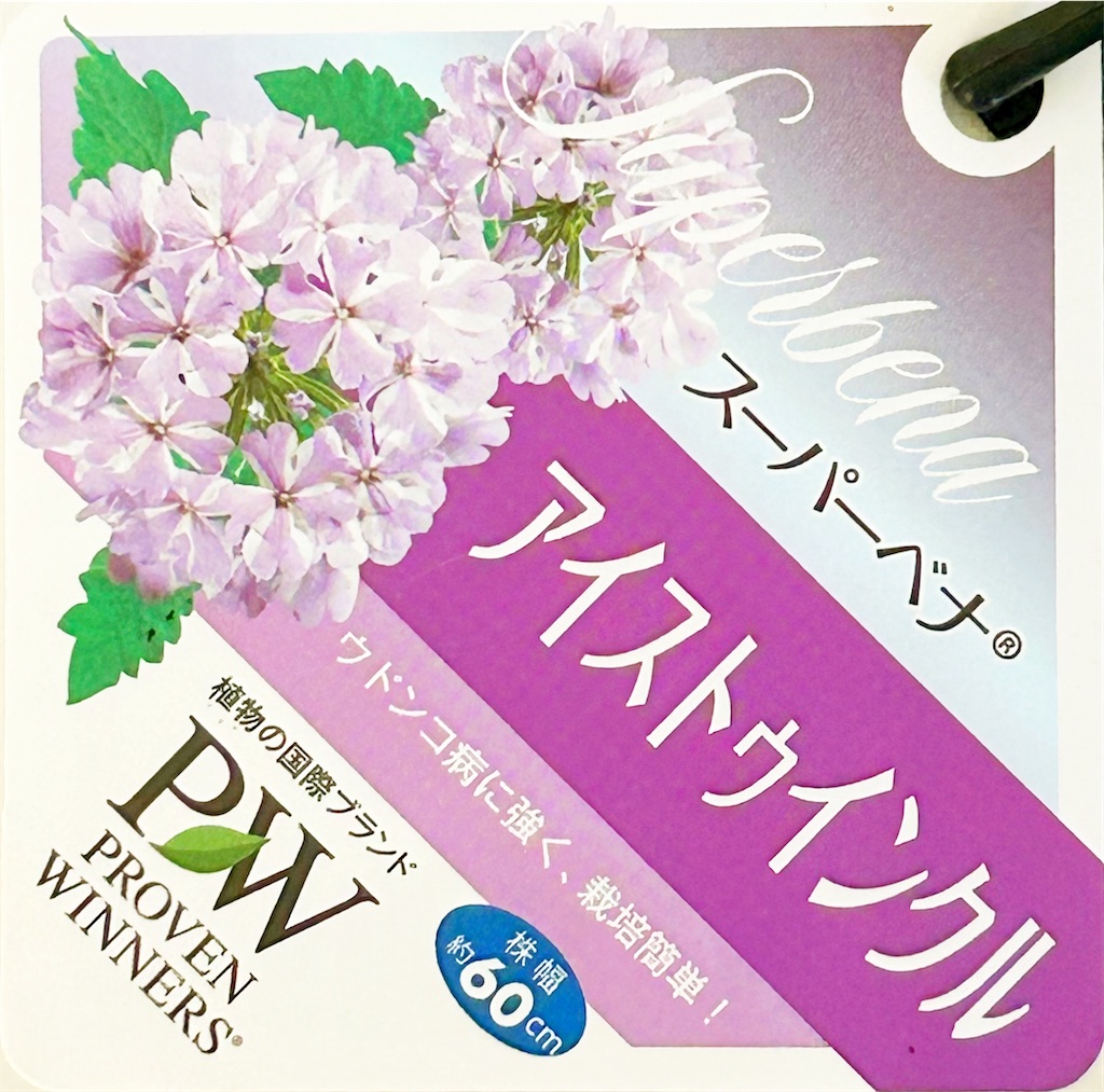 f:id:choco218:20230721153250j:image f:id:choco218:20230721153250j:image