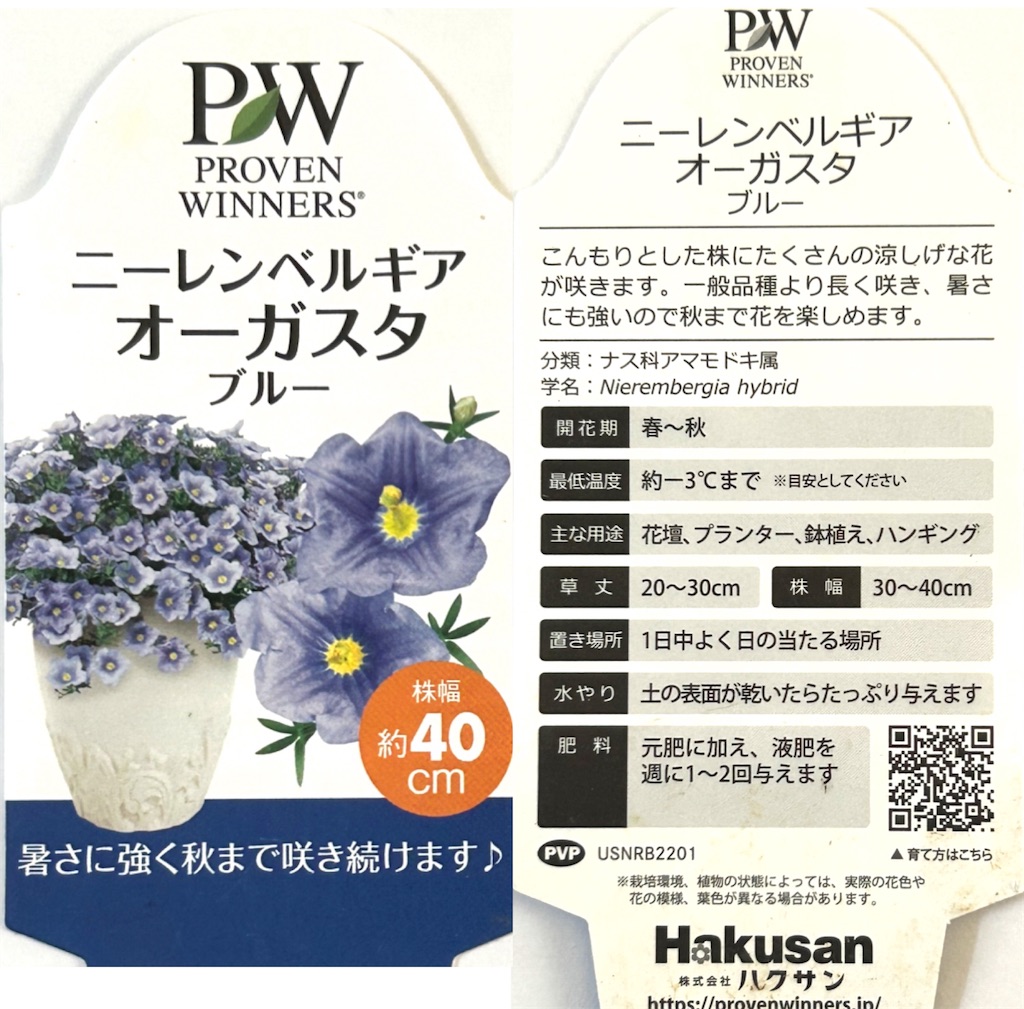f:id:choco218:20240729152533j:image f:id:choco218:20240729152533j:image