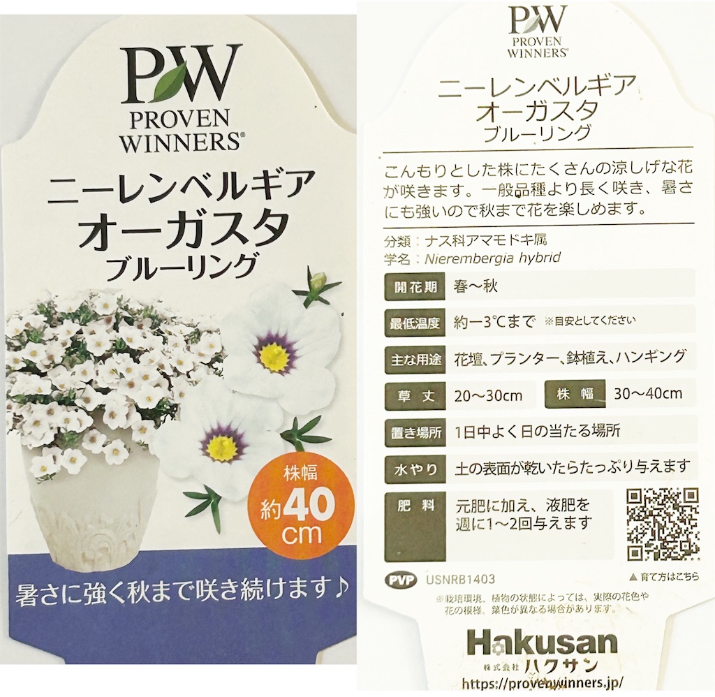f:id:choco218:20240729152538j:image f:id:choco218:20240729152538j:image
