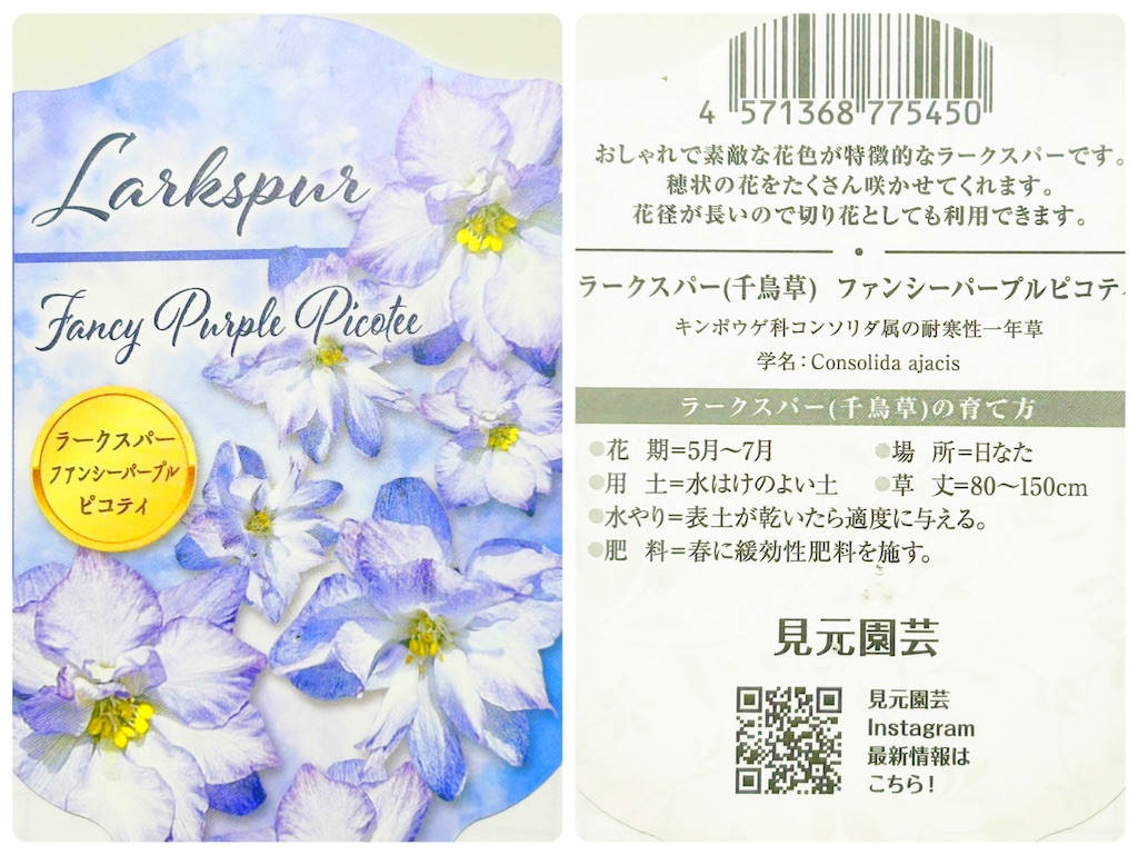 f:id:choco218:20250524144512j:image