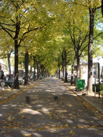 f:id:choco_373:20080928130812j:image