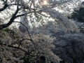 20130323160529