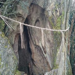 f:id:chococo324:20170921182154p:plain