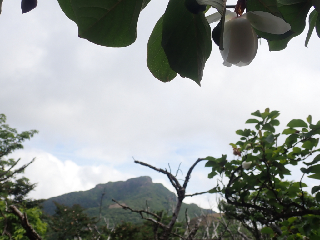 f:id:chococo324:20180620235125j:plain