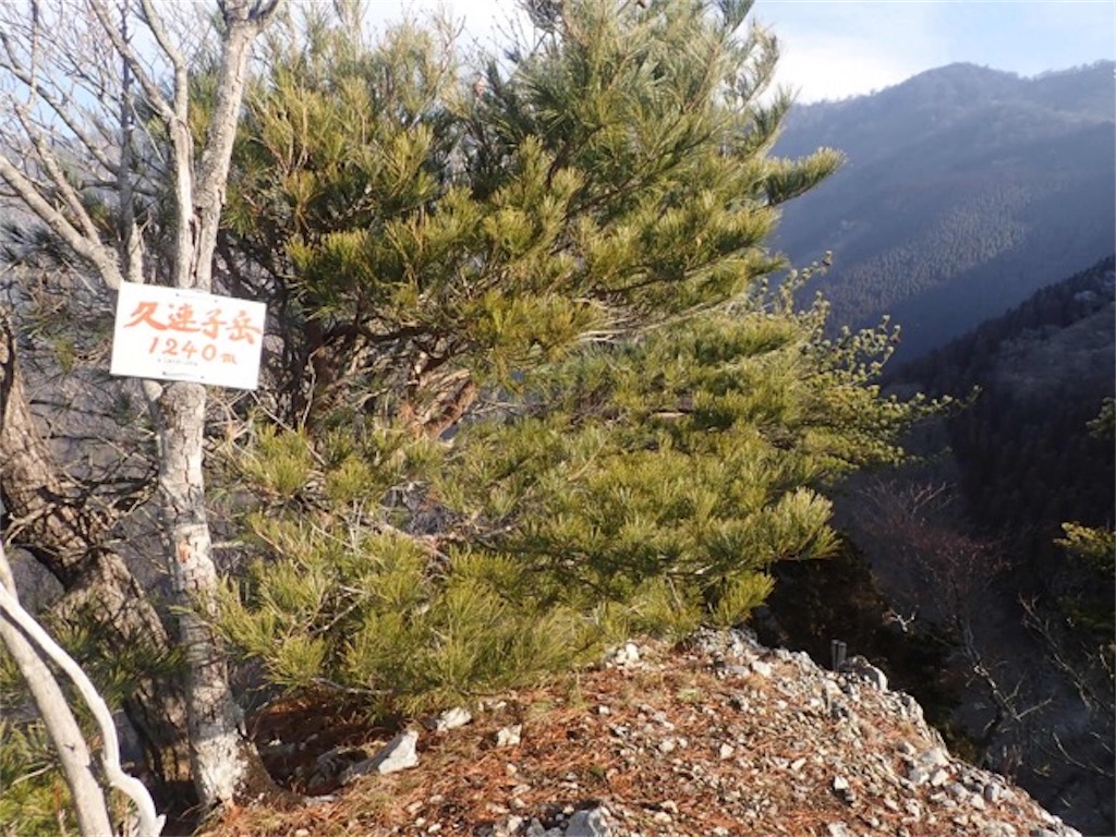 f:id:chococo324:20190226083930j:image