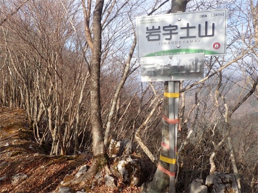 f:id:chococo324:20190226084101j:image