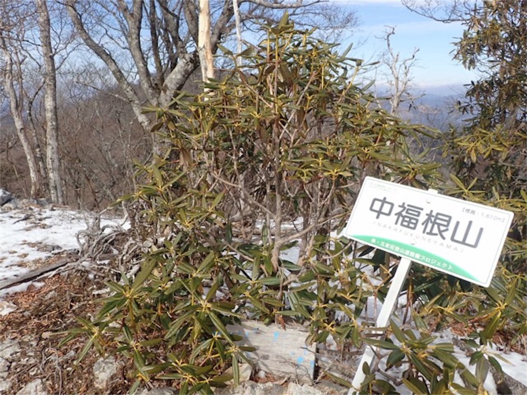 f:id:chococo324:20190226084631j:image