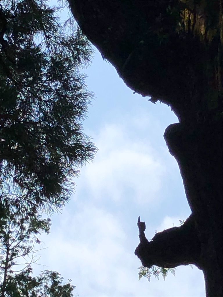 f:id:chococo324:20190508215704j:image