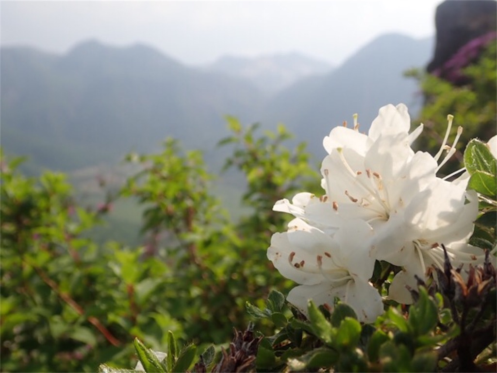 f:id:chococo324:20190606212806j:image